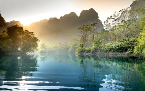 高效高性能智能